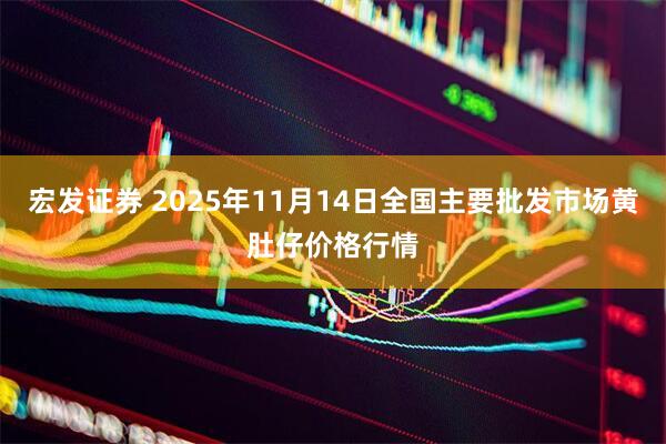 宏发证券 2025年11月14日全国主要批发市场黄肚仔价格行情