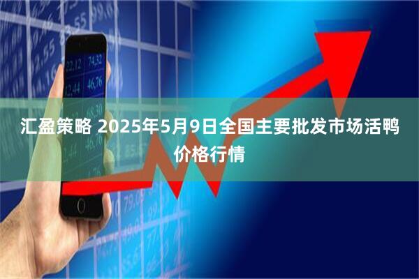 汇盈策略 2025年5月9日全国主要批发市场活鸭价格行情