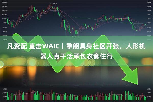 凡资配 直击WAIC丨擎朗具身社区开张，人形机器人真干活承包衣食住行